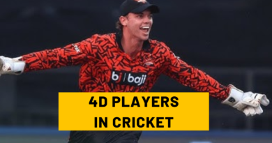 4D Cricketers